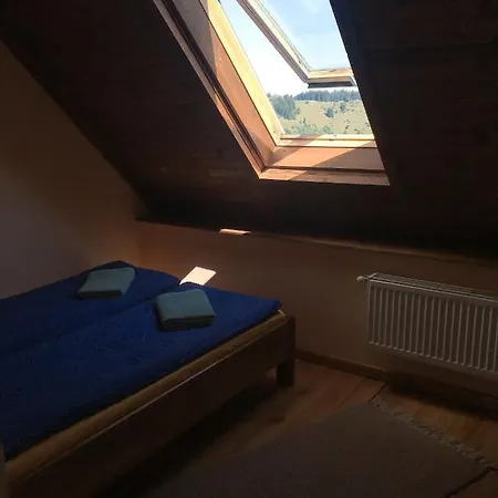 Birdshouse Parang * Petroszany